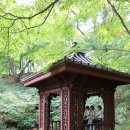 오라이 주식회사 이미지