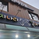 돼지갈매기 이미지