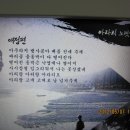 서울신용산초등학교 Daum카페
