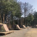 서천금빛노을서울캠핑장 이미지