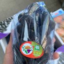 이기석농장 이미지