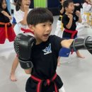 국가대표 한숲 HIT 태권도장 이미지