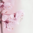 청풍보건지소 이미지