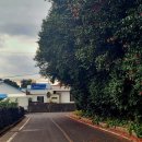 큰엉(남원관광지구) 이미지