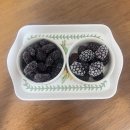 곱분이곱창북 | 8월정산) 여름의 아이는 두 달같은 한 달을 보냈습니다 + 돌아온 올해의 생일주간