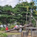 화랑유원지_경기도미술관주변 이미지