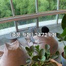 색달동-15 이미지