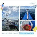 세부 스노쿨링 스타호핑 조인투어 후기 가성비 굿 (내돈내산)