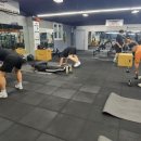 버팔로 체육관 이미지