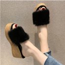 3742 이미지