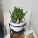 이레허브 이미지