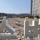 로모커피 이미지