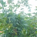 커피하우스117 이미지