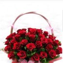 신나는 가요장구 이미지