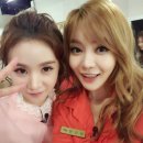 서유리 카카오 검색결과