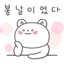 딸기펫살롱 이미지