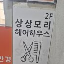 503헤어&클리닉 | 주차 무료 청담역미용실 상상모리 청담 시셰이도 헤어 클리닉 후기