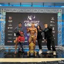 팀거너짐 이미지