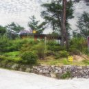 도연농원 이미지