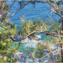 조례주공공인중개사사무소 | 조례주상복합 전문 중개사, 송천부동산이 함께하는 최적의 부동산 거래