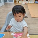 해태어린이공원 Daum카페