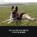 부산세중