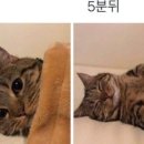 더블에잇짐 이미지