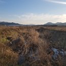 화곡천 네이버블로그