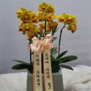 아리엘베이커리