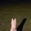 그린힐민박 이미지