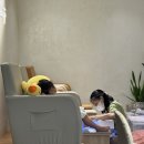 엘 로이 네일