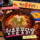 [상계역 술집] 청춘불꽃닭발 내돈내산 후기｜국물무뼈닭발·테라스·애견동반 가능