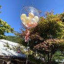 수락베이스캠프 이미지