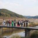 징검다리 이미지