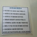 여수 애견동반카페 [앤드로이] 추천