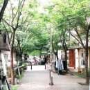 보정동 카페거리 이미지