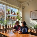 대전광역시 중구 치매안심센터 이미지