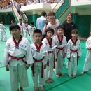 충의태권도 이미지