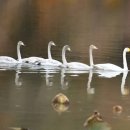 람사르습지길 이미지