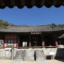 정지천 이미지