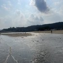 전남 보성 율포 네이버블로그