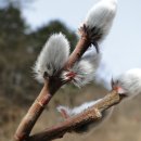 팔도해장국 이미지