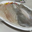 (유)장보고싶은마트신가점 | 불꺼지지않는 빨래 공장+돌돌쓰 7번째 탄신일
