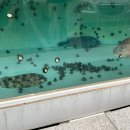 성산읍 고성리마을회관 | [제주] 계획대로 흘러가는 듯 아닌듯 흘러흘러 결국은 다시 육지로 돌아온 제주 여행 마지막날 일기