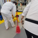 해바라기 태권도 이미지