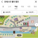 포레스트벨리캠프 이미지