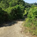 곡성-141 이미지