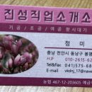 진성직업소개소 이미지
