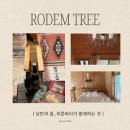 로뎀편백나무펜션 | 독일마을 도보 20분, 차량 5분만에 갈 수 있는 깨끗하고 넓은 펜션, 로뎀편백나무펜션(숙박페스타 가능!)