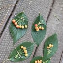 탑동초등학교 병설유치원 이미지